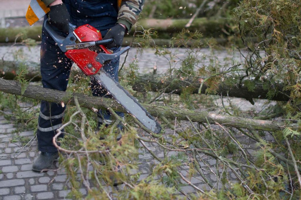 Befähigungsnachweis für Bediener von Kettensägen, Qualifizierungs-Lehrgang © IDAA Industrie Ausbildungs-Akademie GmbH